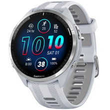Garmin Forerunner 965 Multispo Picture